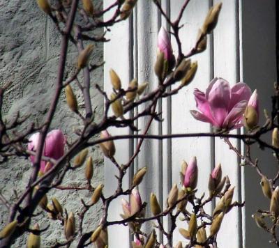 Прикрепленное изображение: DSCF6738.jpg